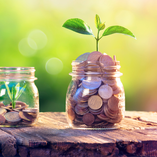 Money jar with coins and growing plant